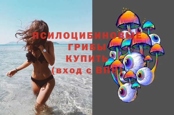 Альфа ПВП Ельня