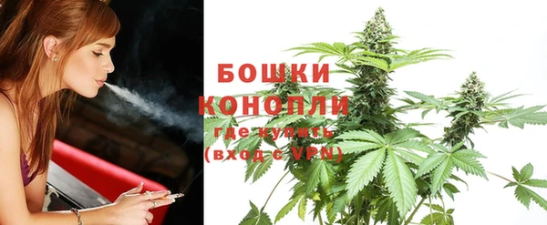 Альфа ПВП Ельня